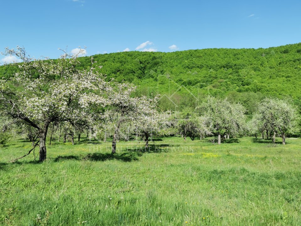 Teren de Vânzare, Budeasa Mica – Potrivit pentru Casă de Vacanță sau Investiție