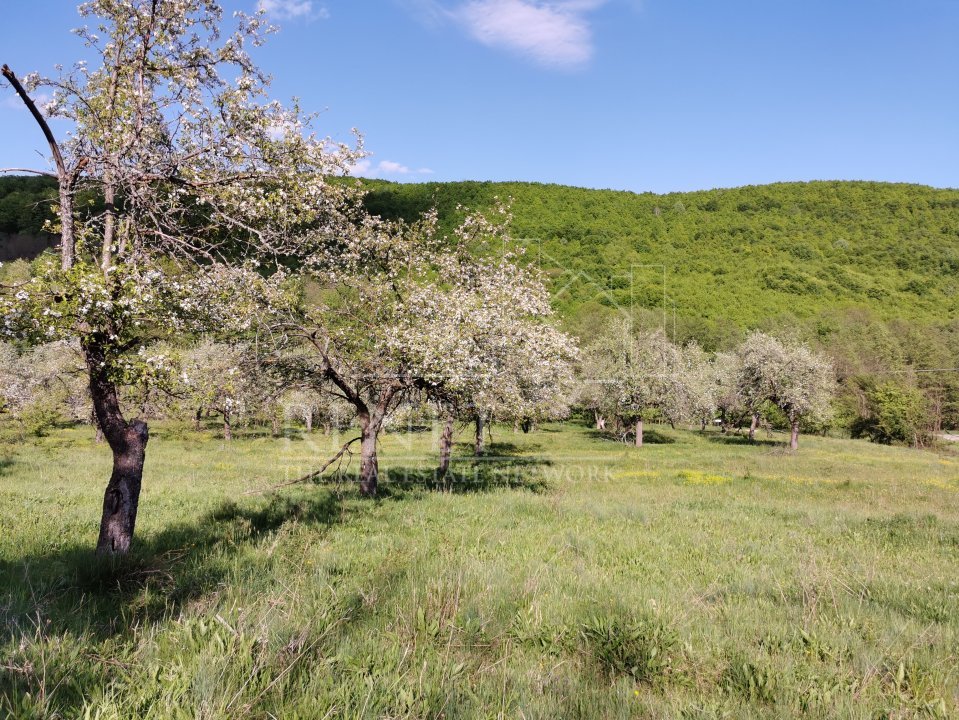 Teren de Vânzare, Budeasa Mica – Potrivit pentru Casă de Vacanță sau Investiție