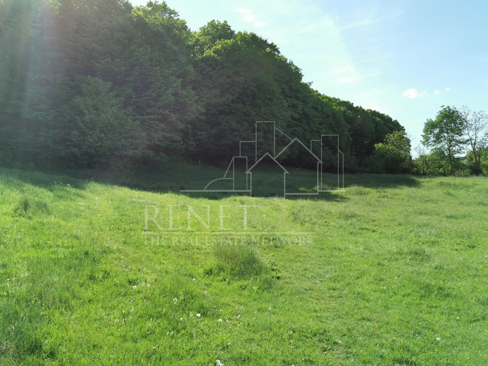 Oportunitate de Investiție - Teren de Basm in Bascov. DIRECT PROPRIETAR.