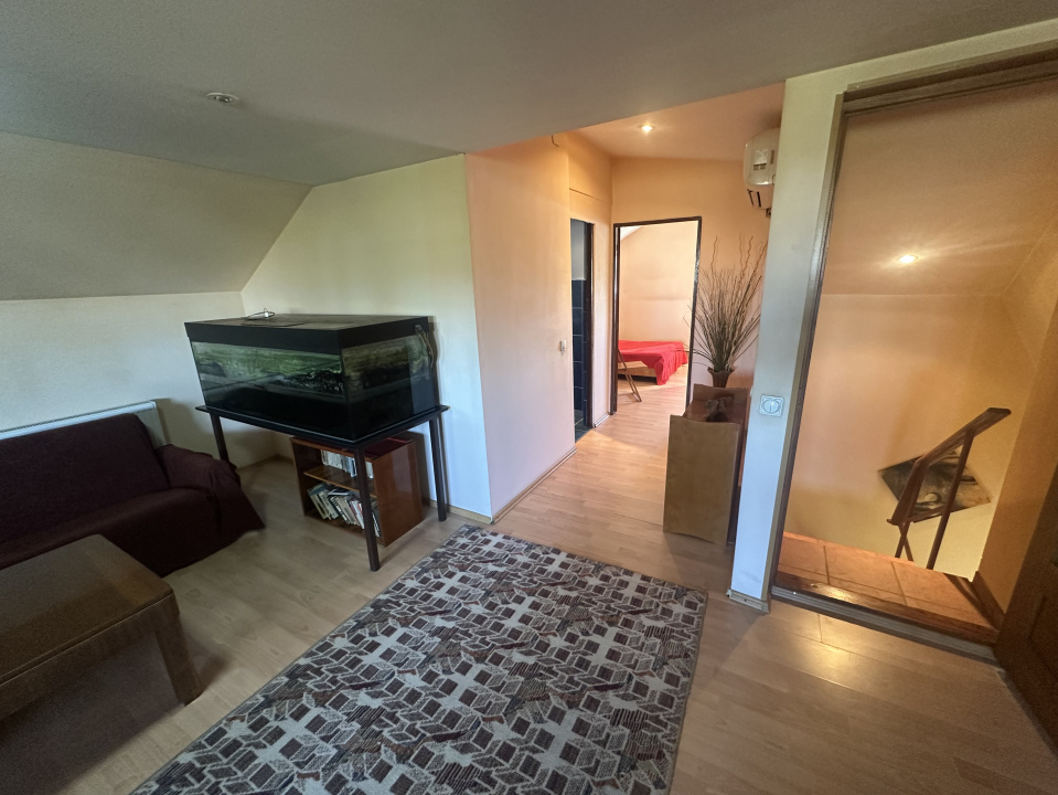 PANTELIMON, APARTAMENT-VILA 1E+M 230 MP, CURTE 516 MP!