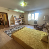 PANTELIMON, APARTAMENT-VILA 1E+M 230 MP, CURTE 516 MP!