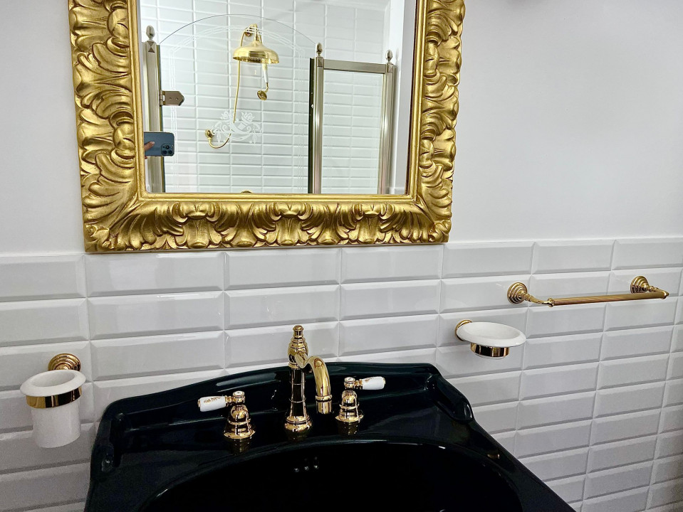 SUPER OCAZIE SE VIND 3 APRTAMENTE DE LUX IN VILA ZONA PARC CAROL COSBUC