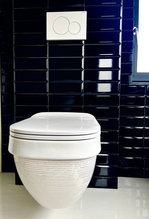 SUPER OCAZIE SE VIND 3 APRTAMENTE DE LUX IN VILA ZONA PARC CAROL COSBUC