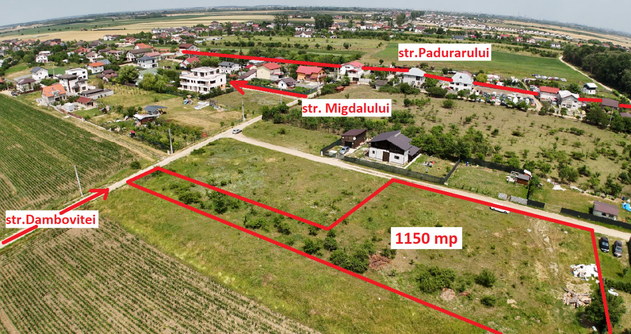 DOMNESTI-TEGHES, LOT 1.150 MP!