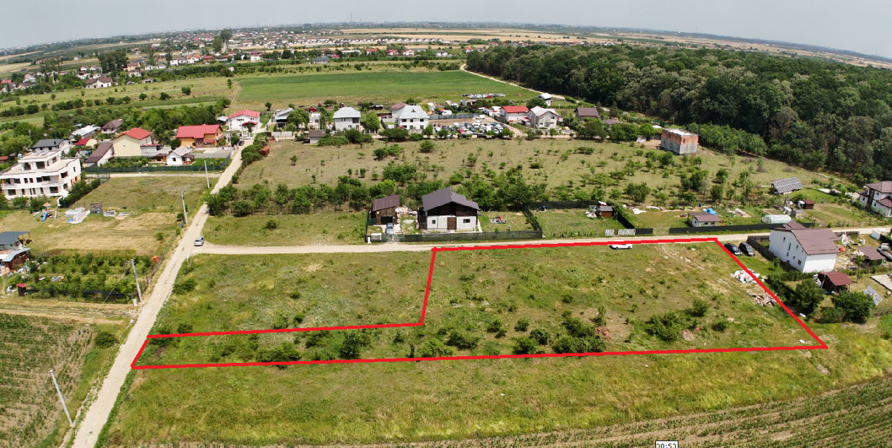 DOMNESTI-TEGHES, LOT 1.150 MP!