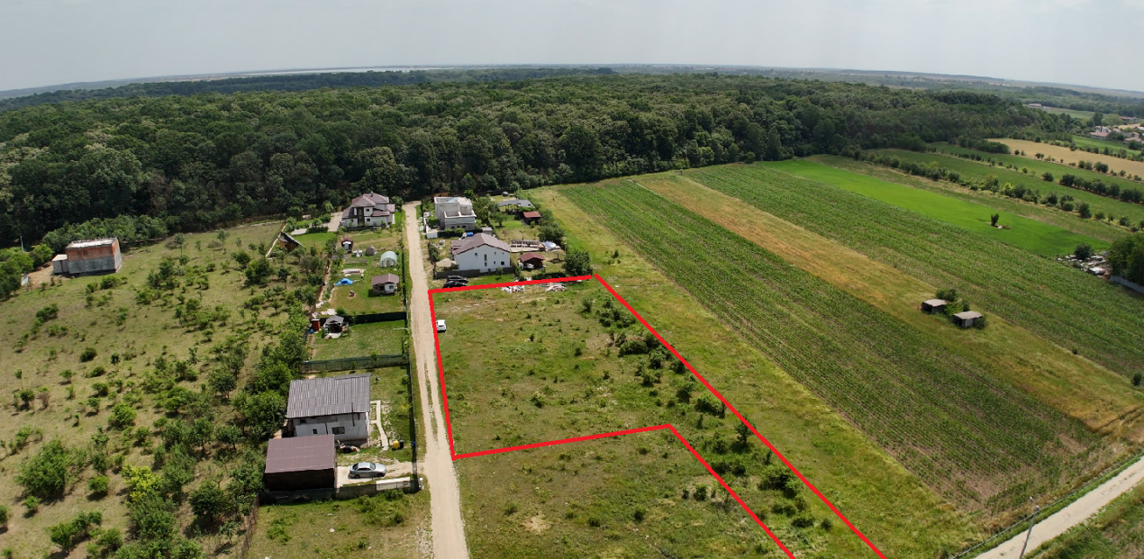 DOMNESTI-TEGHES, LOT 1.150 MP!