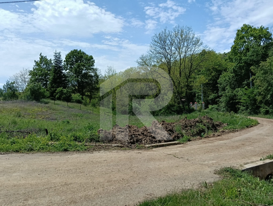 intravilan Tiparesti, relaxare aproape de padure