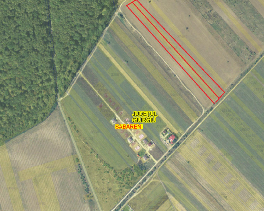 SABARENI, LOT 10.000 MP!