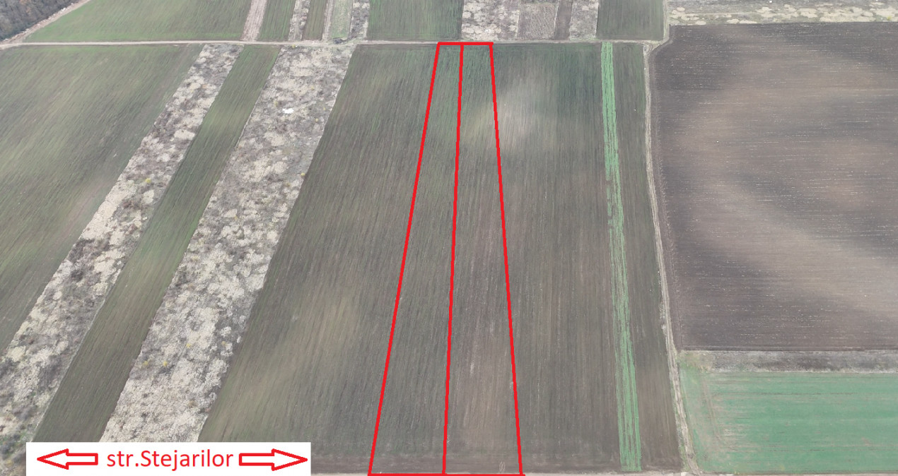 SABARENI, LOT 10.000 MP!