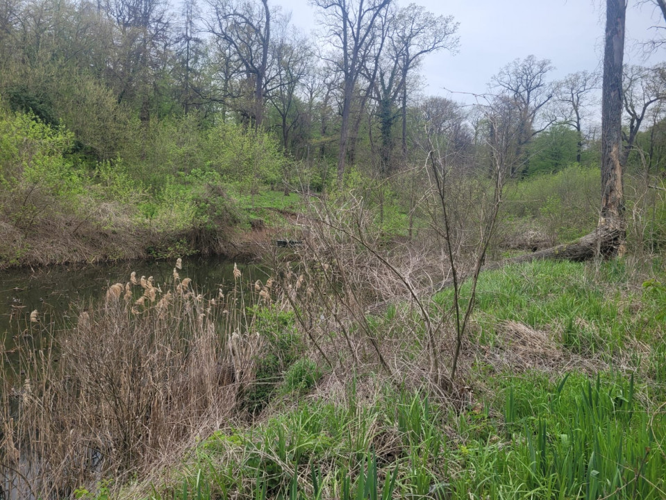SUPER  OCAZIE TEREN 4000MP DE VANZARE IN SNAGOV CU DESCHIDERE LA LACUL SNAGOV