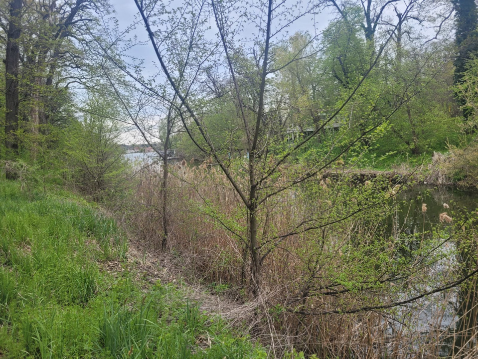 SUPER  OCAZIE TEREN 4000MP DE VANZARE IN SNAGOV CU DESCHIDERE LA LACUL SNAGOV