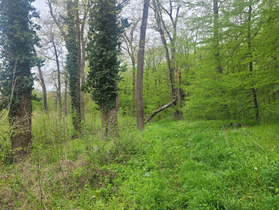 SUPER  OCAZIE TEREN 4000MP DE VANZARE IN SNAGOV CU DESCHIDERE LA LACUL SNAGOV