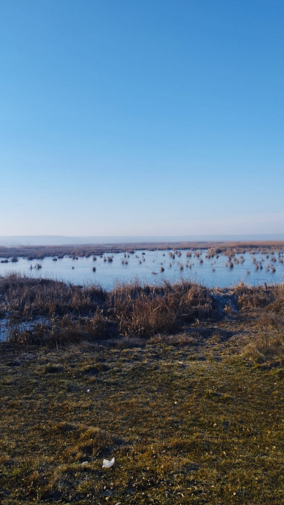 Vand teren intravilan 4000MP cu  dechidere la Delta Neajlovului, Comana GR