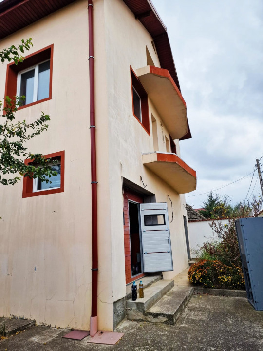 VIND VILA CU SPATIU INDUSTRIAL (retabil la orice activitate)  DASCALU IF 