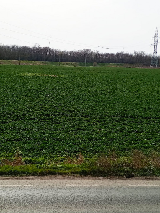 Teren intravilan 5.000 m² cu 40 m deschidere la DN2A – lângă Kaufland Slobozia