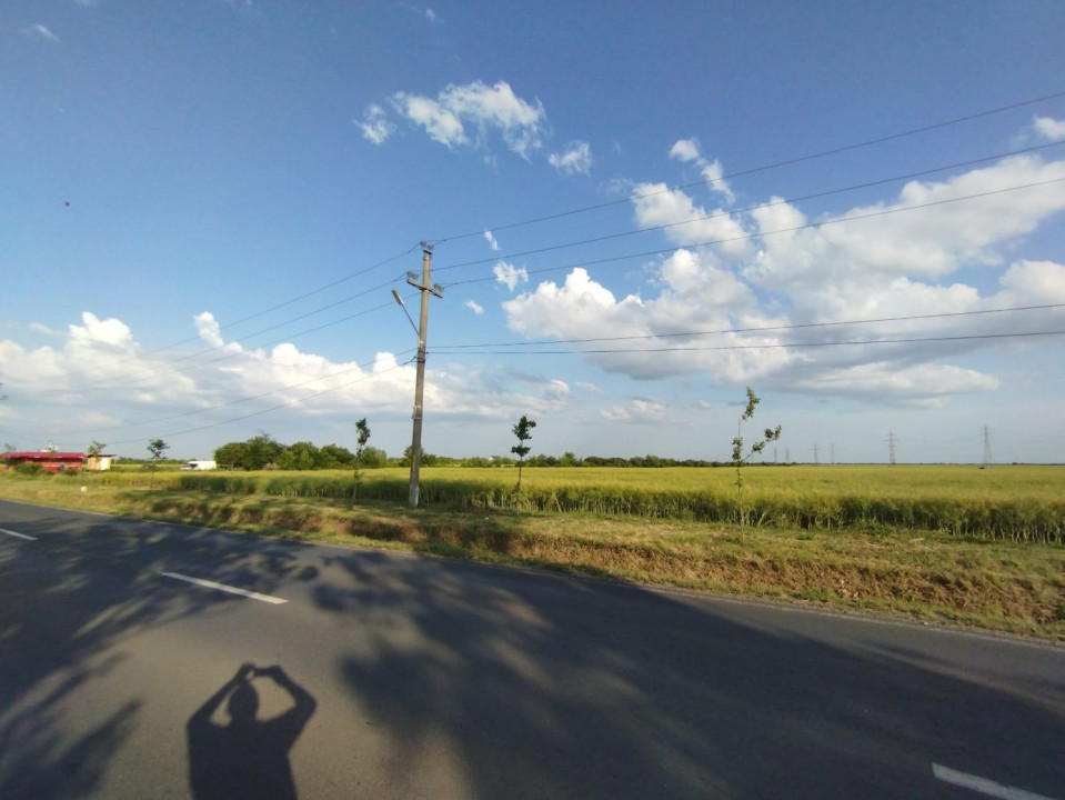 SE VINDE TEREN 5000 MP INTRAVILAN, MIXT CU DESCHIDERE LA DJ101 DE 42m 