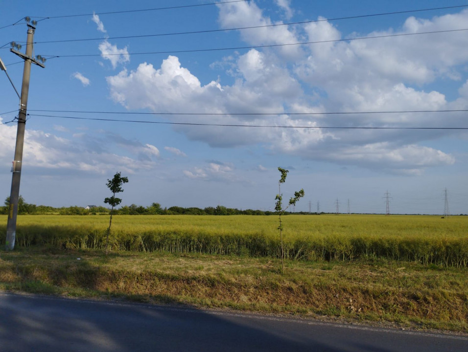 SE VINDE TEREN 5000 MP INTRAVILAN, MIXT CU DESCHIDERE LA DJ101 DE 42m 