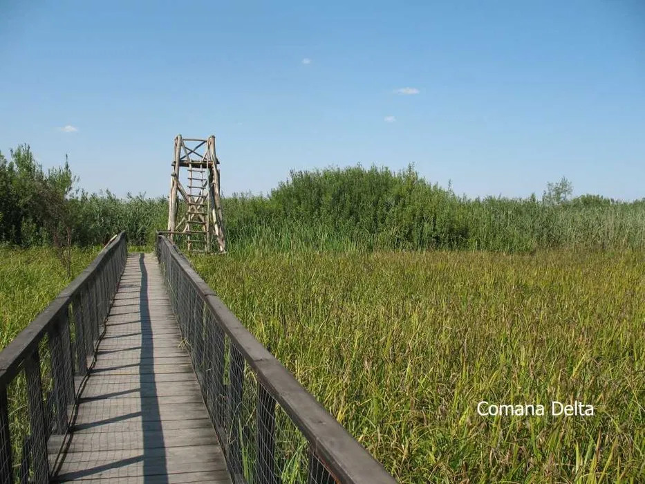 Vând loturi de 527 si 635 mp lângă Delta Neajlovului la cel mai bun preț 