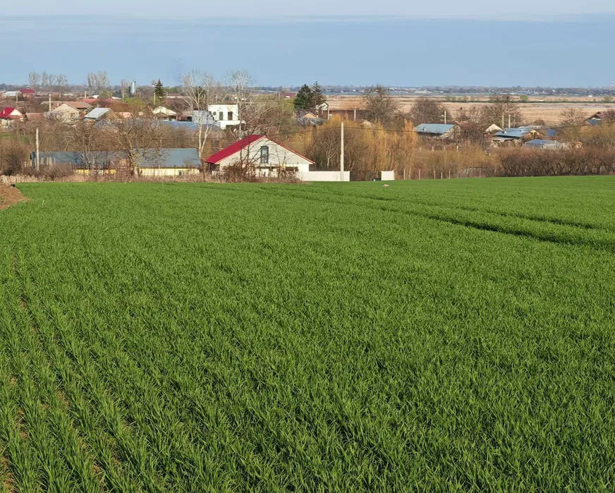 Vând loturi de 527 si 635 mp lângă Delta Neajlovului la cel mai bun preț 