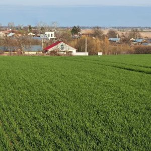 Vând loturi de 527 si 635 mp lângă Delta Neajlovului la cel mai bun preț 