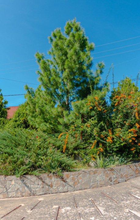 Vila de lux, 427 mp utili și 2313 mp teren, pe malul lacului (Cociova) Balotesti