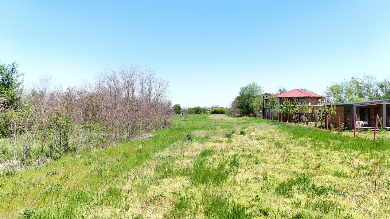 SILISTEA SNAGOVULUI, LOT 3.600 MP!