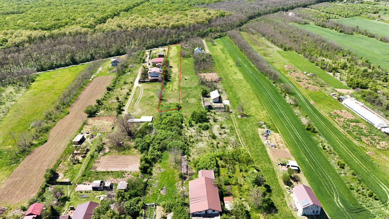 SILISTEA SNAGOVULUI, LOT 3.600 MP!