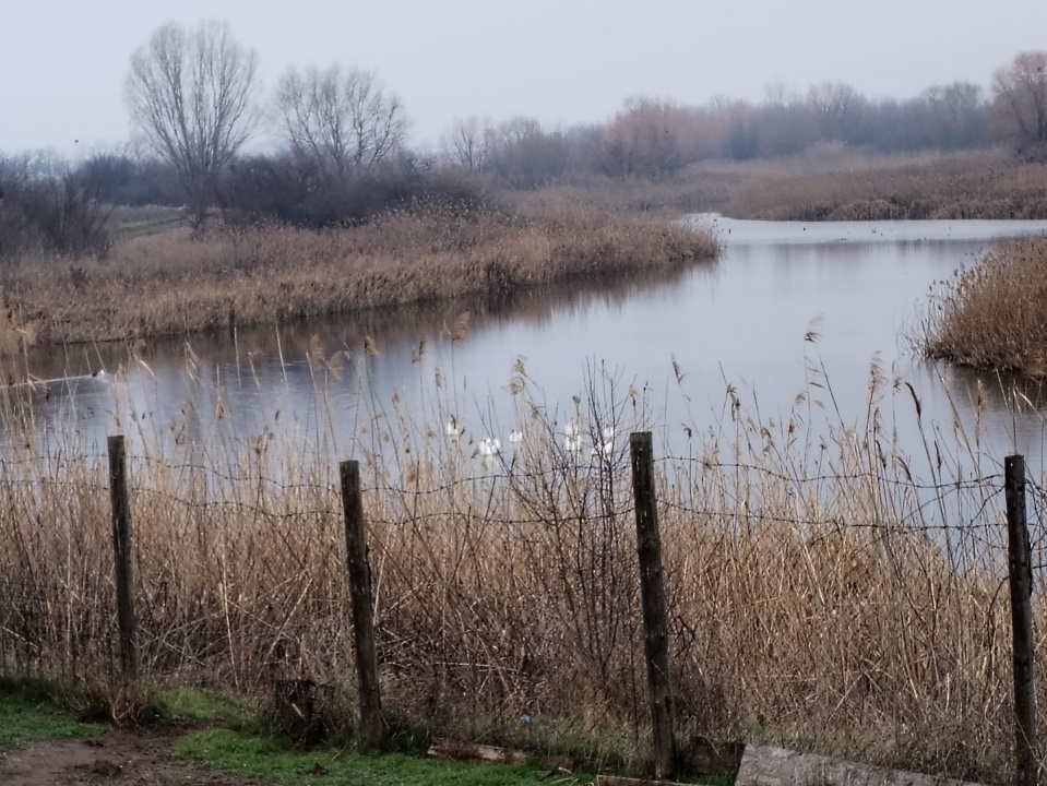 Teren intravilan 609 mp Vidra, deschidere 24 m, ideal pentru construcție