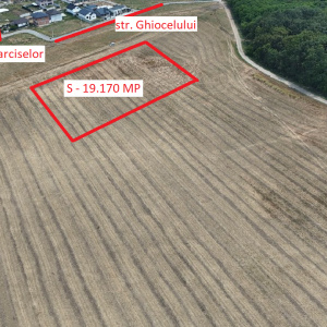 DASCALU, LOT 19.170 MP!