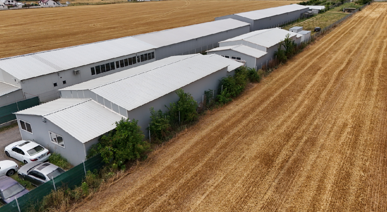 CIOLPANI, LOT 5.000 MP!