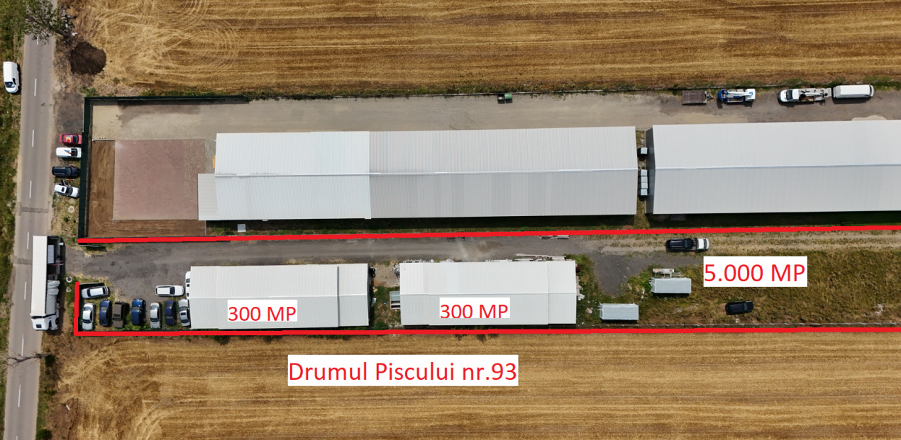 CIOLPANI, LOT 5.000 MP!