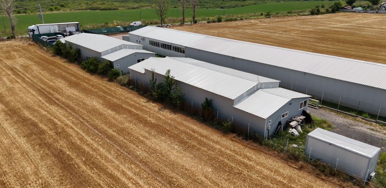 CIOLPANI, LOT 5.000 MP!