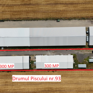 CIOLPANI, LOT 5.000 MP!