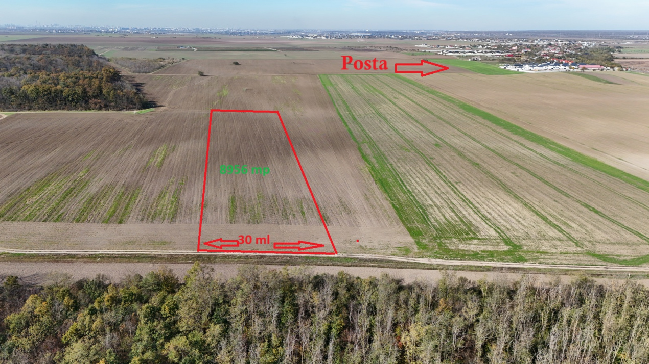 CERNICA-POSTA, LOT 8.956 MP, LA PADURE! 