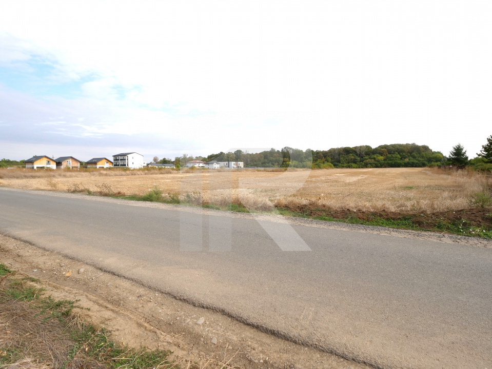 LOTURI PENTRU CASA - 420mp + 89mp drum - Otopeni, Ilfov - IN CURS DE AUTORIZARE 