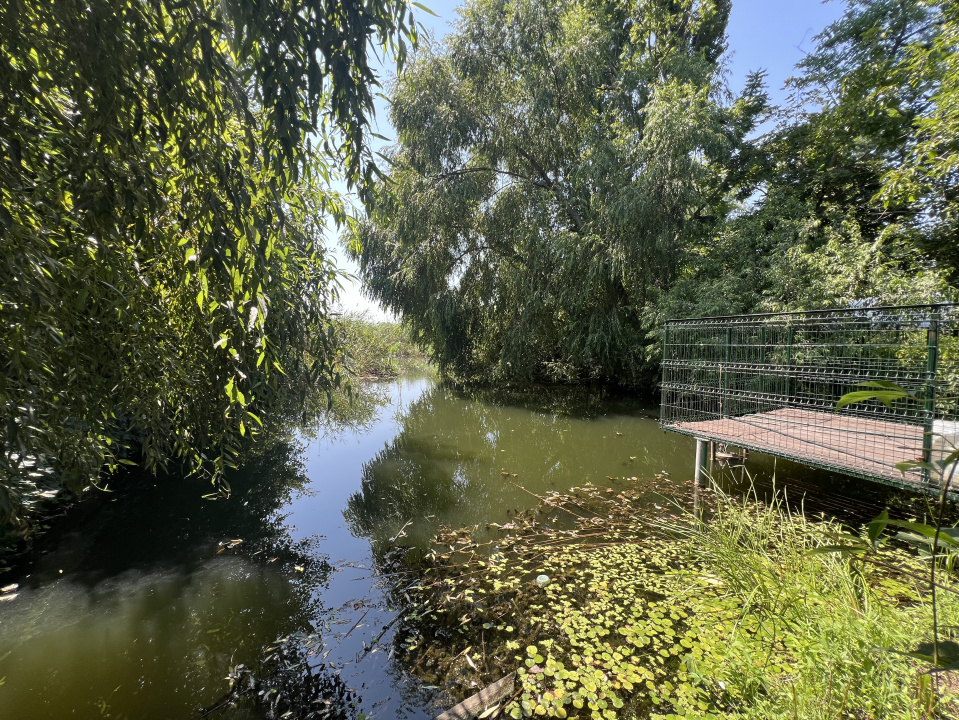 Teren cu deschidere la Lac Snagov. 