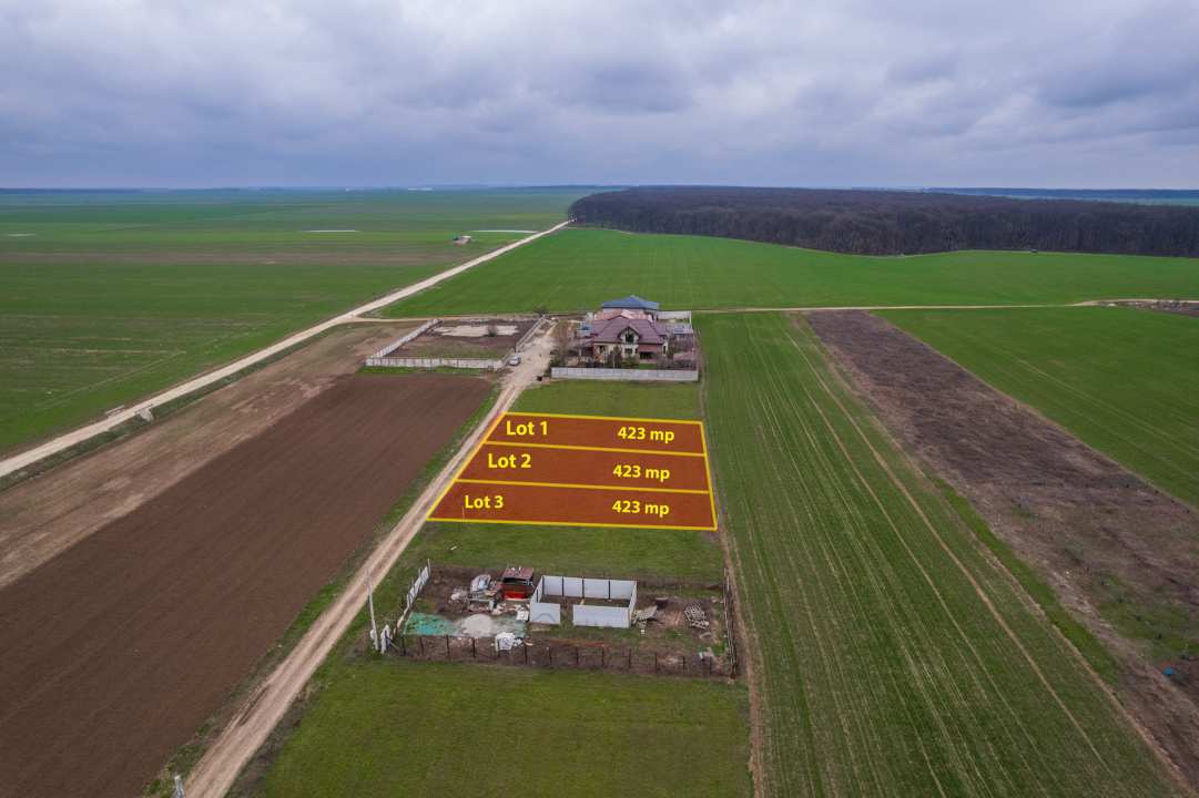 FRUMUSANI - VIOLETELOR, TEREN 423 MP, FRONT 14 M!