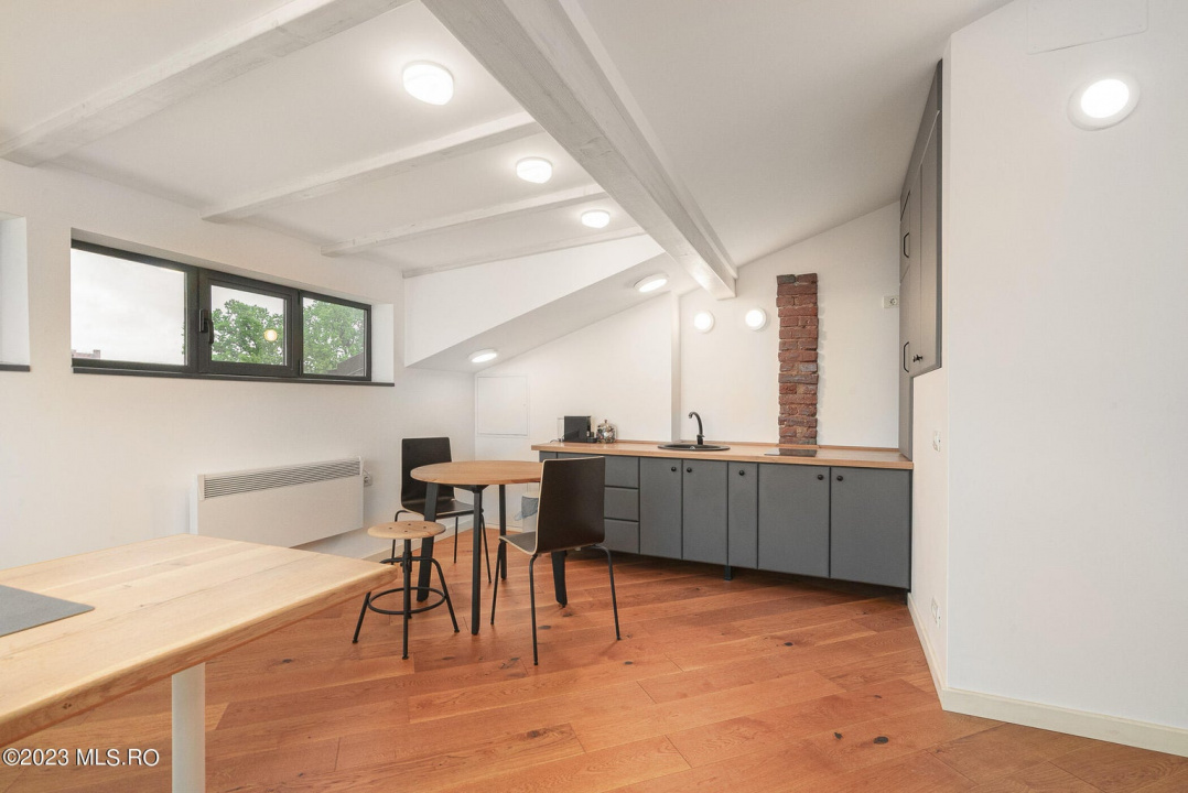 COTROCENI-GRADINA BOTANICA STUDIO LA CHEIE, 33 MP!