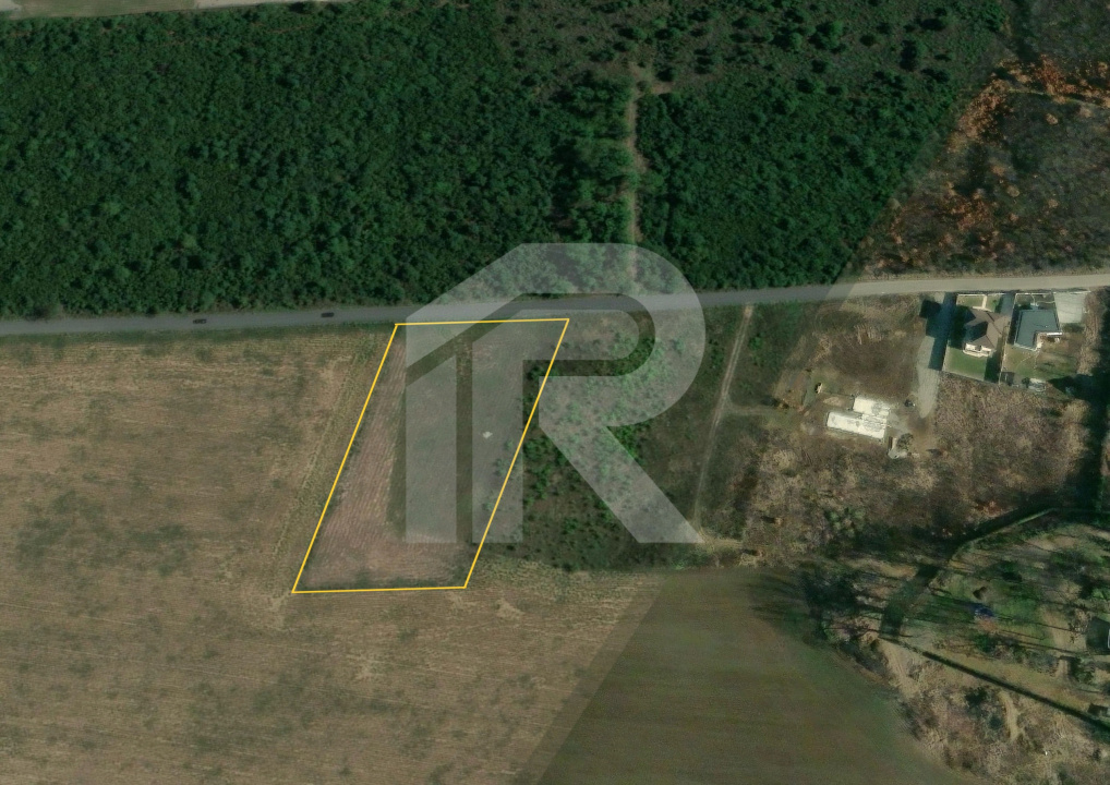 BALOTESTI - EDENLAND -  ideal investitie - Teren 5.254 mp, lângă pădure