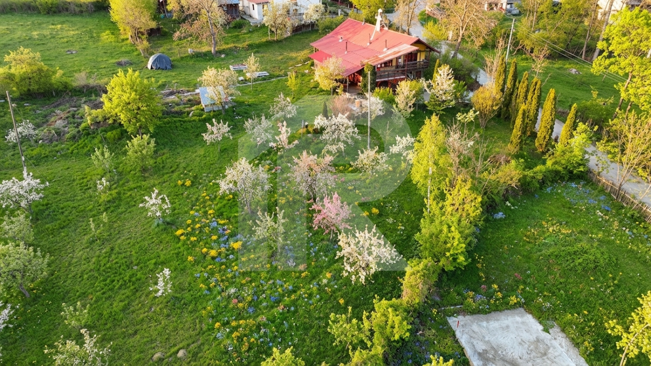 Teren intravilan Slanic Prahova