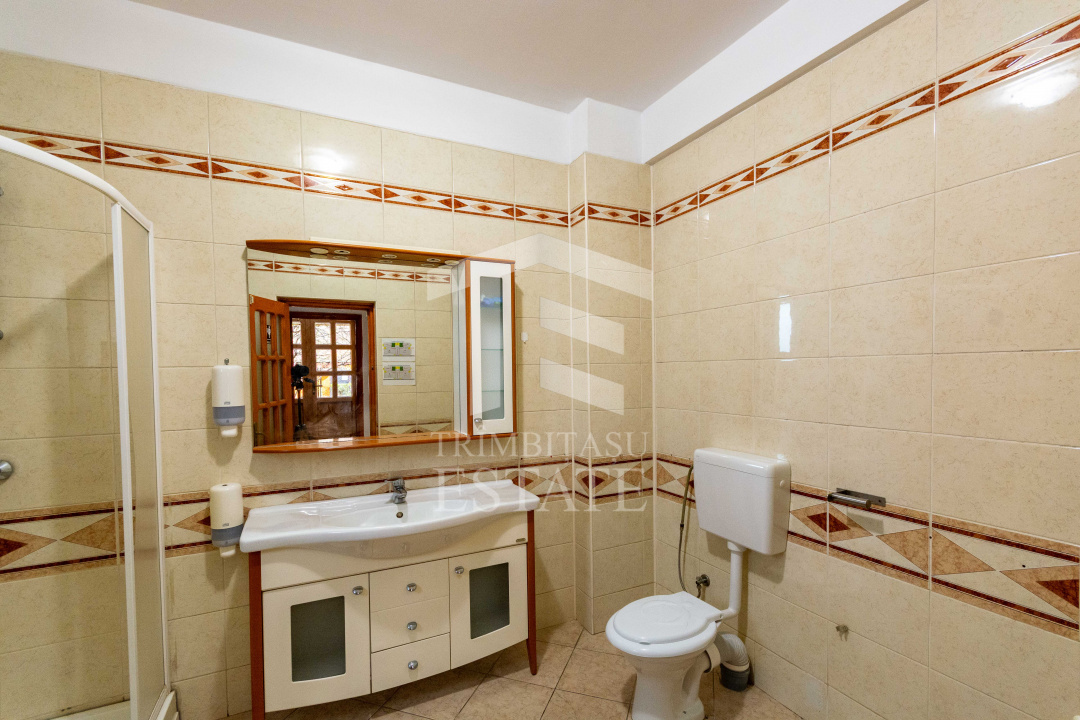 Aviatiei | Smaranda Braescu | Vila reprezentativa de inchiriat