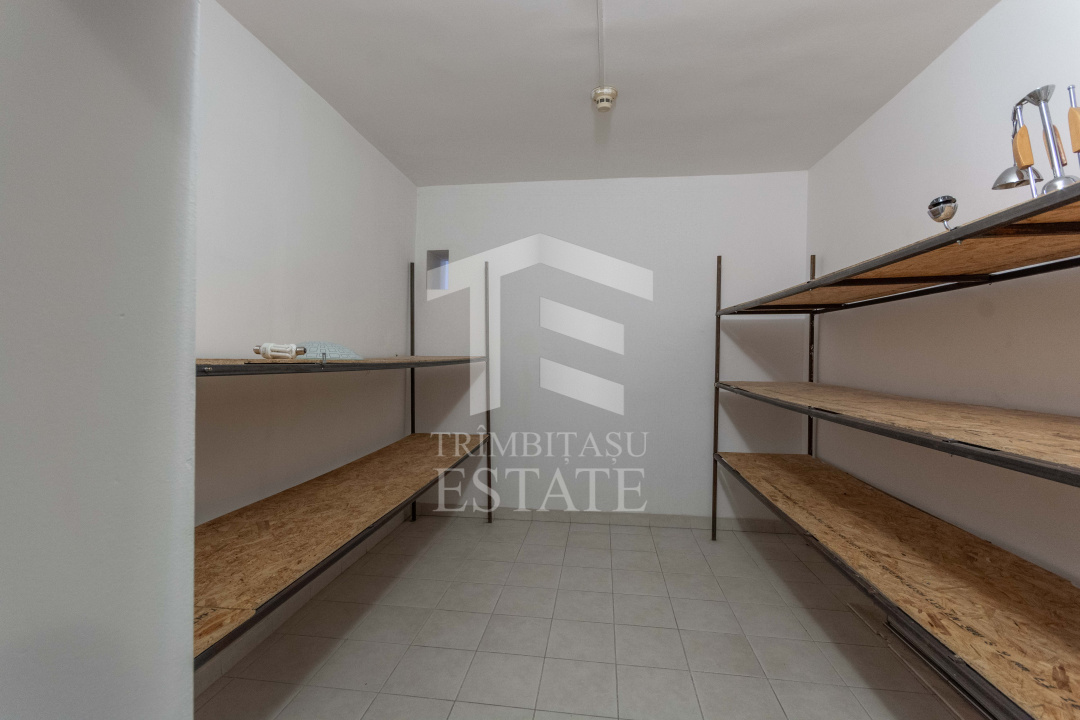 Aviatiei | Smaranda Braescu | Vila reprezentativa de inchiriat