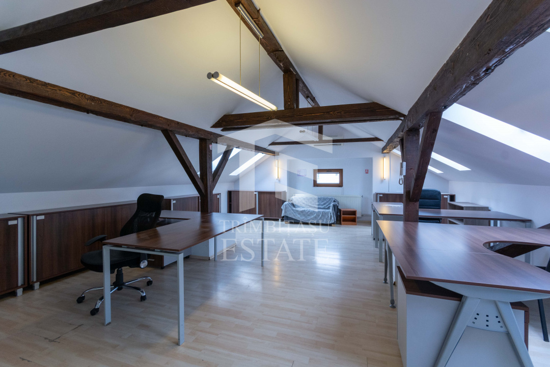 Aviatiei | Smaranda Braescu | Vila reprezentativa de inchiriat