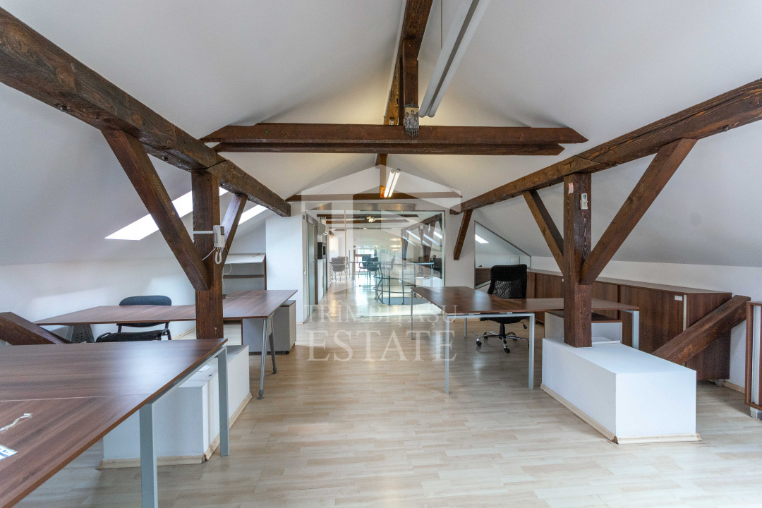 Aviatiei | Smaranda Braescu | Vila reprezentativa de inchiriat