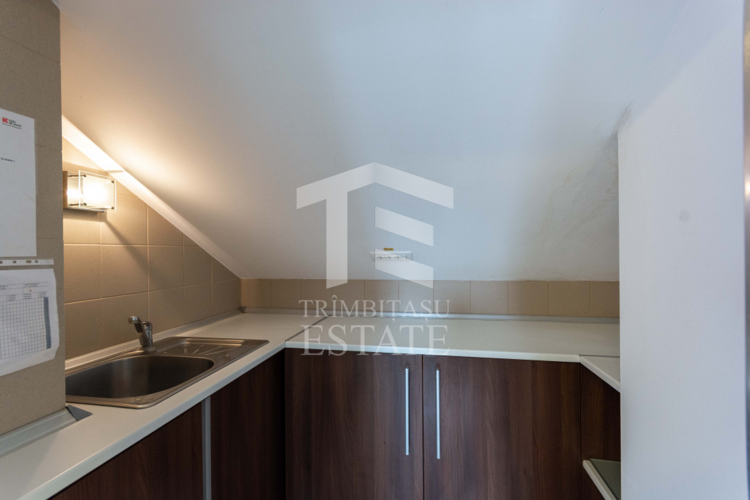 Aviatiei | Smaranda Braescu | Vila reprezentativa de inchiriat